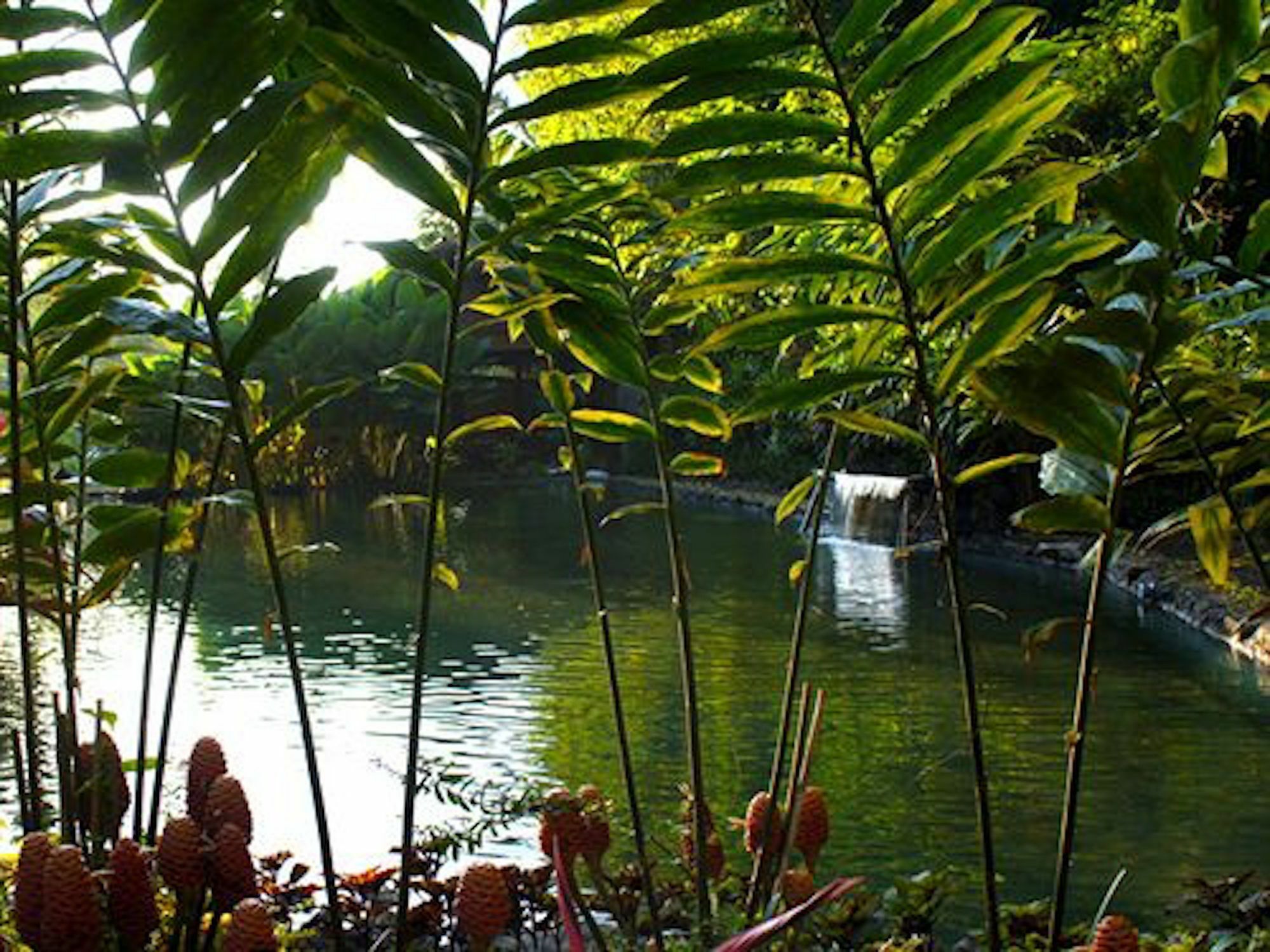 The Aura Shanti Retreat Baturiti Zewnętrze zdjęcie